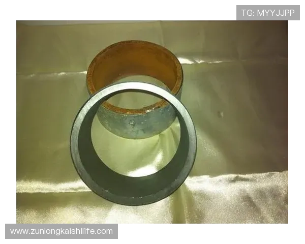 Z6尊龙网站app常见问题与解决方案，帮助新手快速上手，解决登录、充值等常见困扰