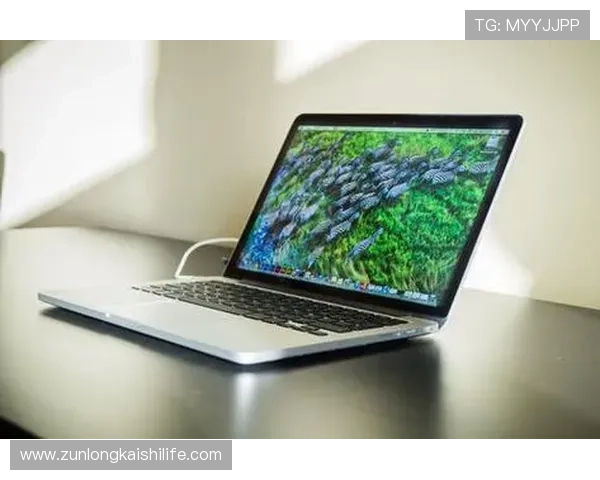 尊龙app客户端平台常见问题解决方案及用户反馈优化建议全攻略
