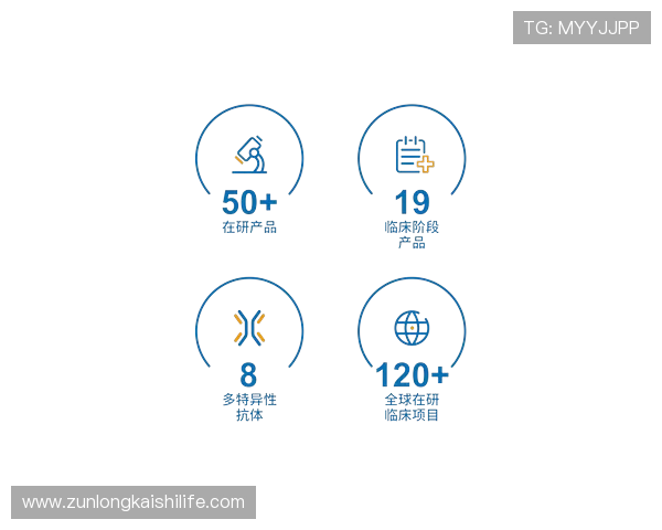 尊龙z6.com手机登录账号安全策略全面解析确保玩家个人信息与游戏资产安全保障