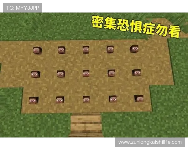 凯时人生就是博官网详细解析游戏玩法技巧与玩家常见问题解答指南